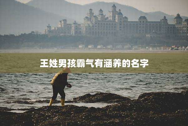 王姓男孩霸气有涵养的名字