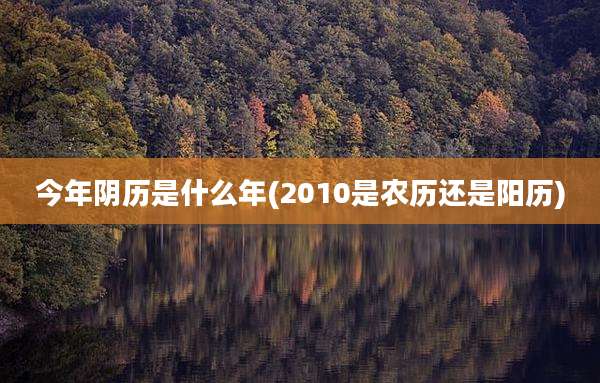 今年阴历是什么年(2010是农历还是阳历)