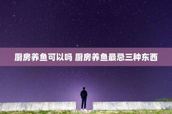 厨房养鱼可以吗 厨房养鱼最忌三种东西