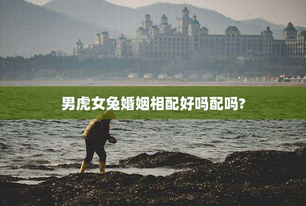 男虎女兔婚姻相配好吗配吗?