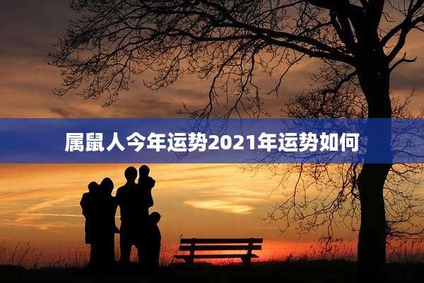 属鼠人今年运势2021年运势如何