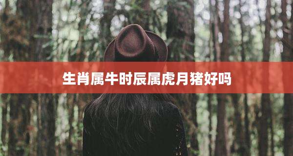 生肖属牛时辰属虎月猪好吗