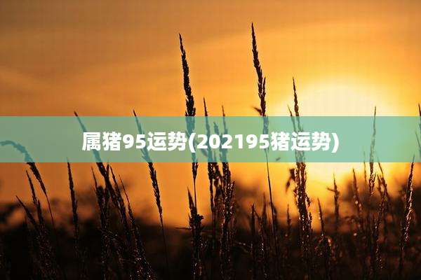 属猪95运势(202195猪运势)