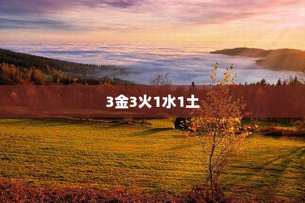 3金3火1水1土