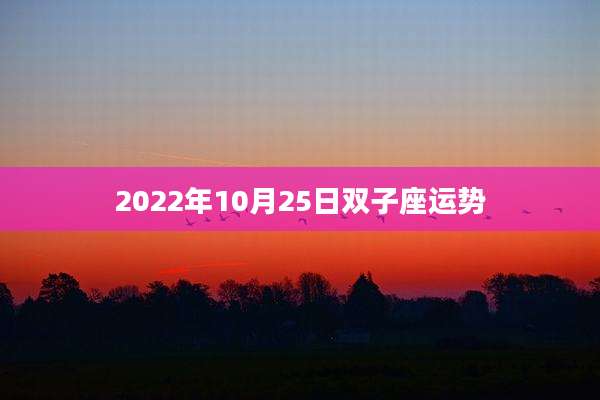 2022年10月25日双子座运势