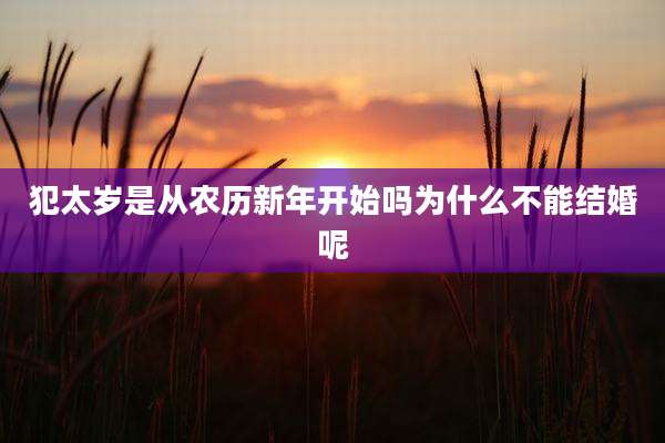 犯太岁是从农历新年开始吗为什么不能结婚呢