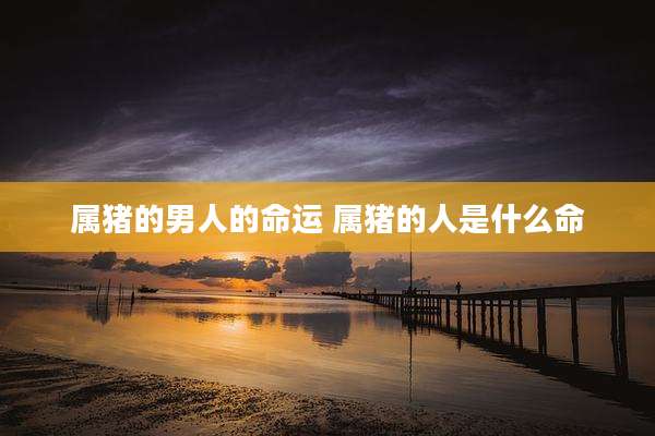 属猪的男人的命运 属猪的人是什么命