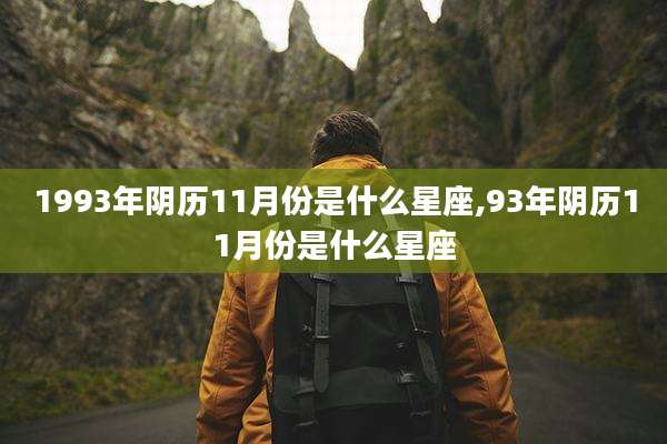 1993年阴历11月份是什么星座,93年阴历11月份是什么星座