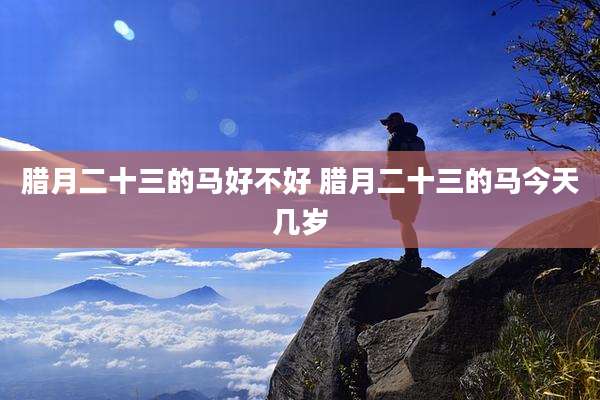 腊月二十三的马好不好 腊月二十三的马今天几岁