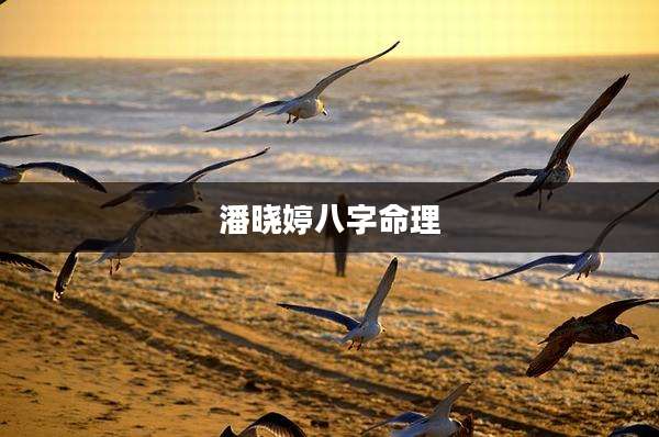 潘晓婷八字命理
