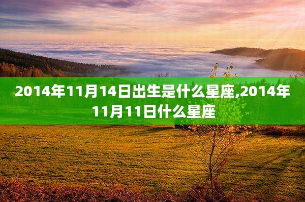 2014年11月14日出生是什么星座,2014年11月11日什么星座