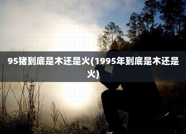 95猪到底是木还是火(1995年到底是木还是火)
