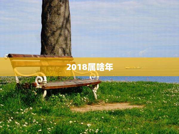 2018属啥年