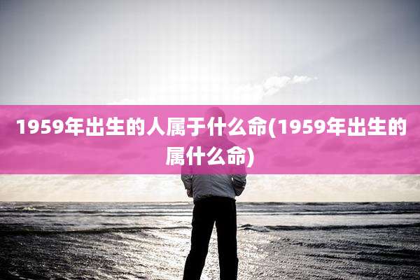 1959年出生的人属于什么命(1959年出生的属什么命)