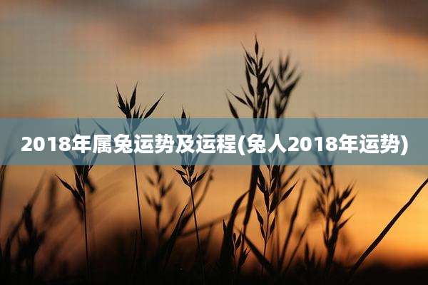 2018年属兔运势及运程(兔人2018年运势)