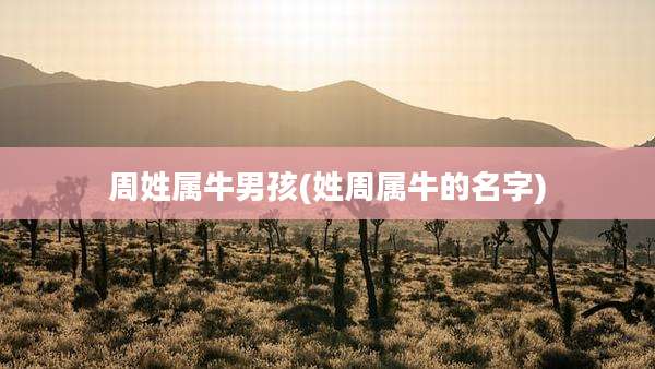 周姓属牛男孩(姓周属牛的名字)