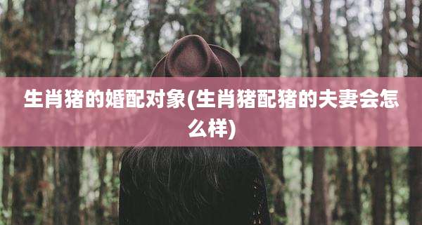 生肖猪的婚配对象(生肖猪配猪的夫妻会怎么样)