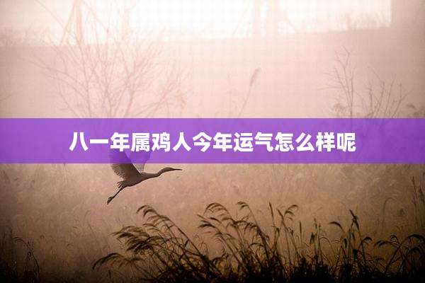 八一年属鸡人今年运气怎么样呢
