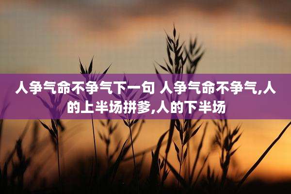 人争气命不争气下一句 人争气命不争气,人的上半场拼爹,人的下半场