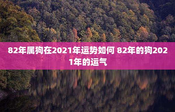 82年属狗在2021年运势如何 82年的狗2021年的运气