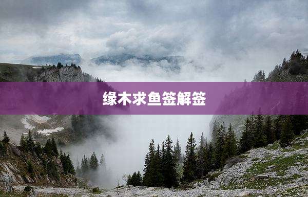 缘木求鱼签解签