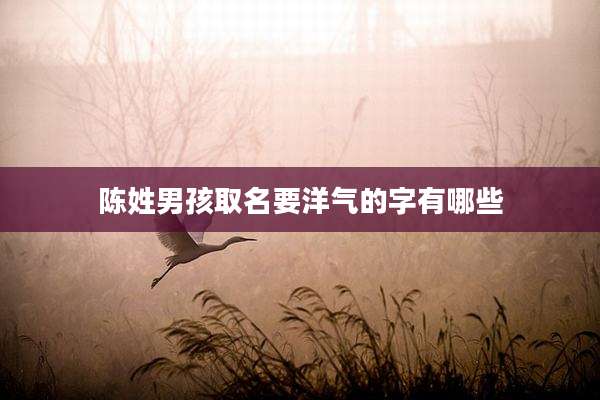 陈姓男孩取名要洋气的字有哪些