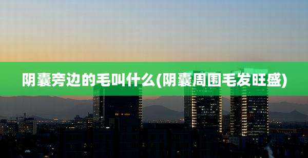 阴囊旁边的毛叫什么(阴囊周围毛发旺盛)