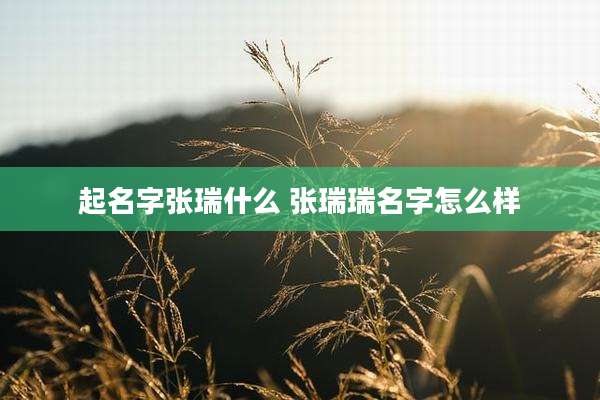 起名字张瑞什么 张瑞瑞名字怎么样