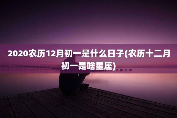 2020农历12月初一是什么日子(农历十二月初一是啥星座)