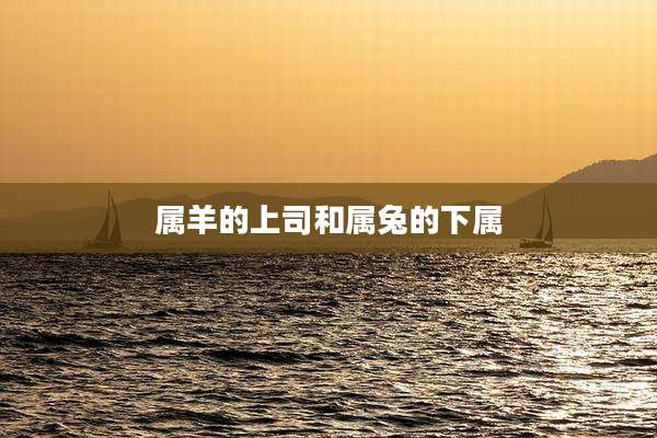 属羊的上司和属兔的下属