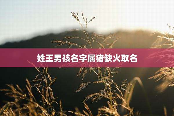 姓王男孩名字属猪缺火取名