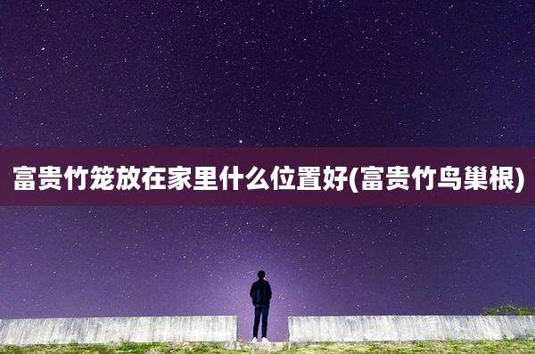 富贵竹笼放在家里什么位置好(富贵竹鸟巢根)