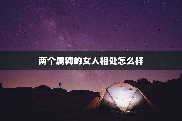 两个属狗的女人相处怎么样
