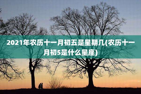 2021年农历十一月初五是星期几(农历十一月初5是什么星座)