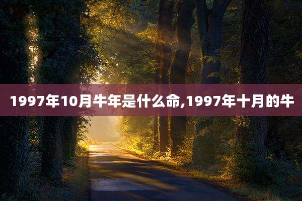 1997年10月牛年是什么命,1997年十月的牛