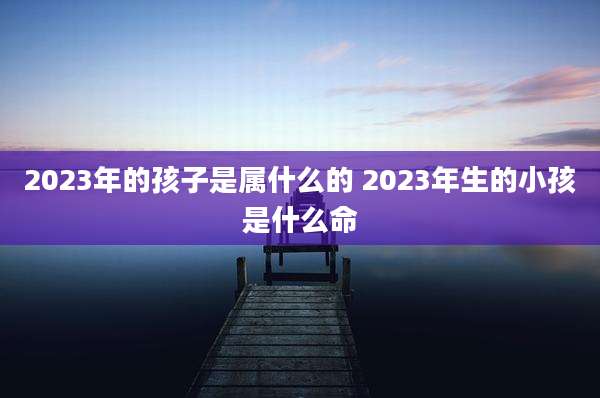 2023年的孩子是属什么的 2023年生的小孩是什么命