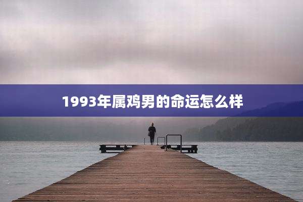 1993年属鸡男的命运怎么样