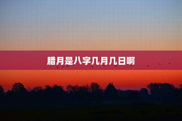 腊月是八字几月几日啊