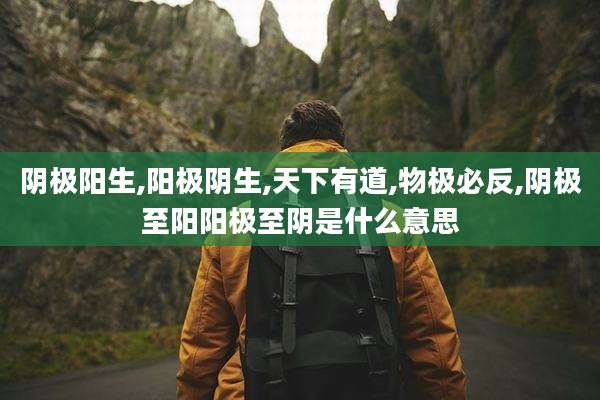 阴极阳生,阳极阴生,天下有道,物极必反,阴极至阳阳极至阴是什么意思