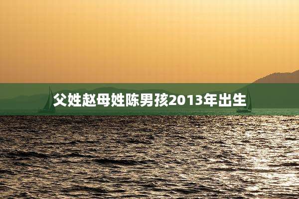 父姓赵母姓陈男孩2013年出生