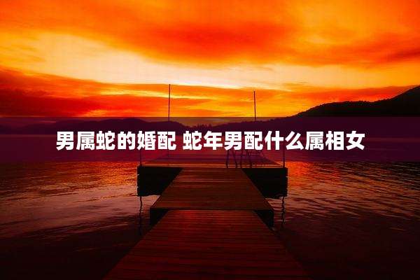 男属蛇的婚配 蛇年男配什么属相女