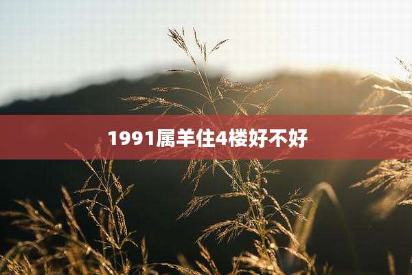 1991属羊住4楼好不好