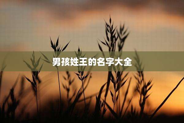 男孩姓王的名字大全