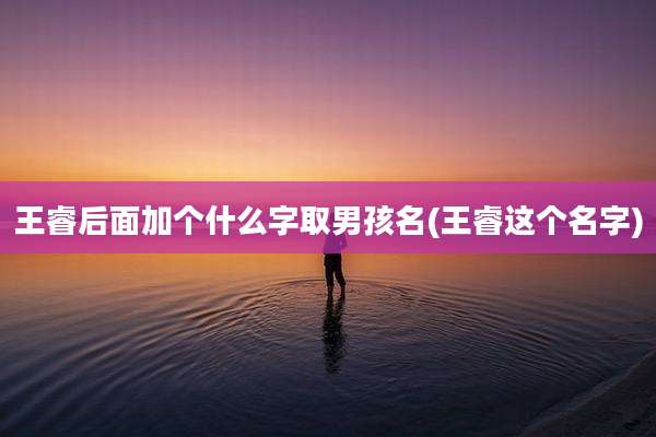 王睿后面加个什么字取男孩名(王睿这个名字)
