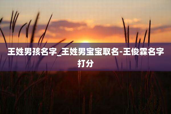 王姓男孩名字_王姓男宝宝取名-王俊霖名字打分