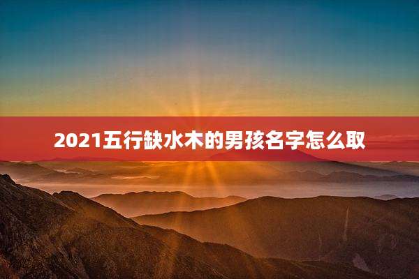 2021五行缺水木的男孩名字怎么取