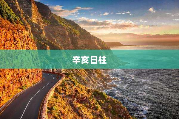 辛亥日柱