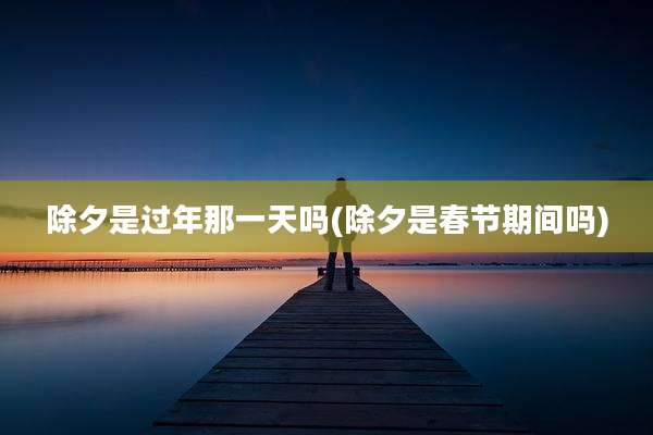 除夕是过年那一天吗(除夕是春节期间吗)