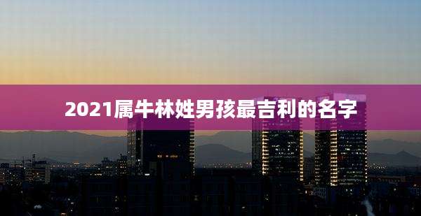 2021属牛林姓男孩最吉利的名字