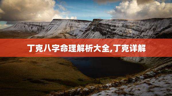丁克八字命理解析大全,丁克详解